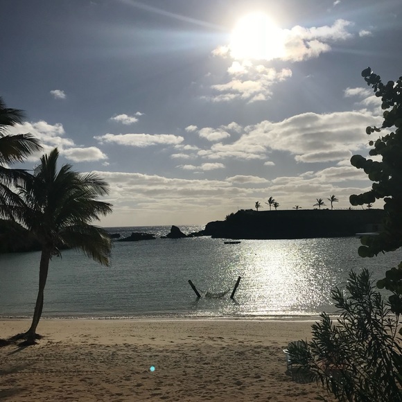 Meet your Posher, Amy - Picture 1 of 1